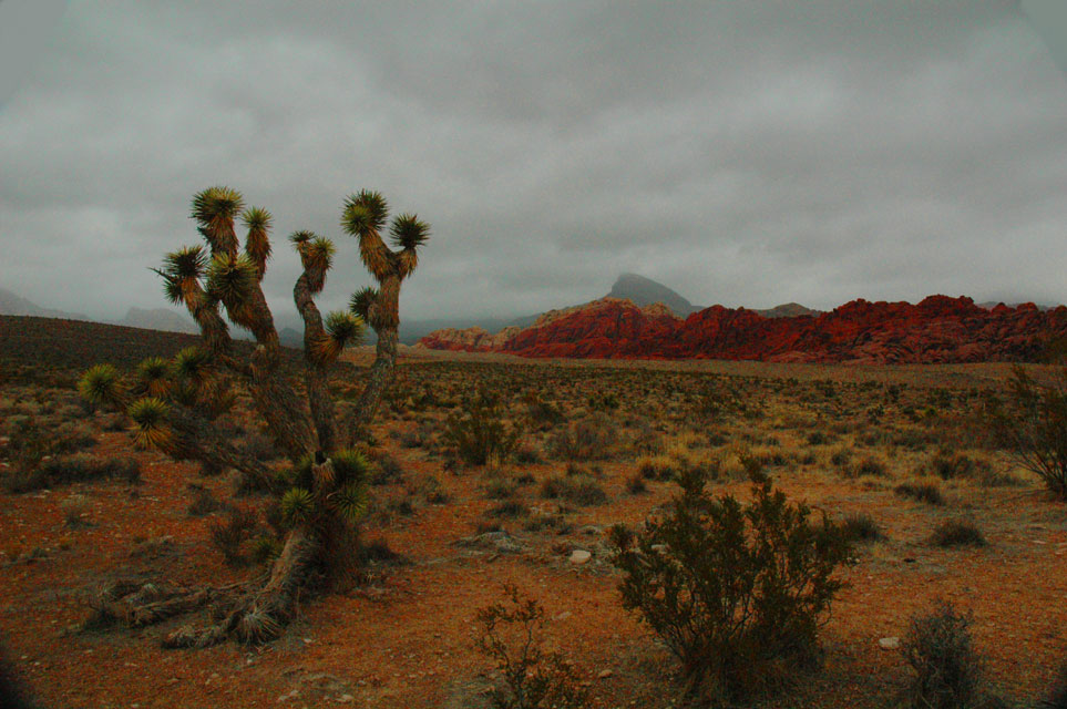 carnets de voyage usa - living in las vegas - red rock canyon