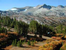 carnets de voyage usa - the white mountains