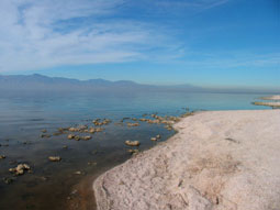 carnets de voyage usa - salton sea