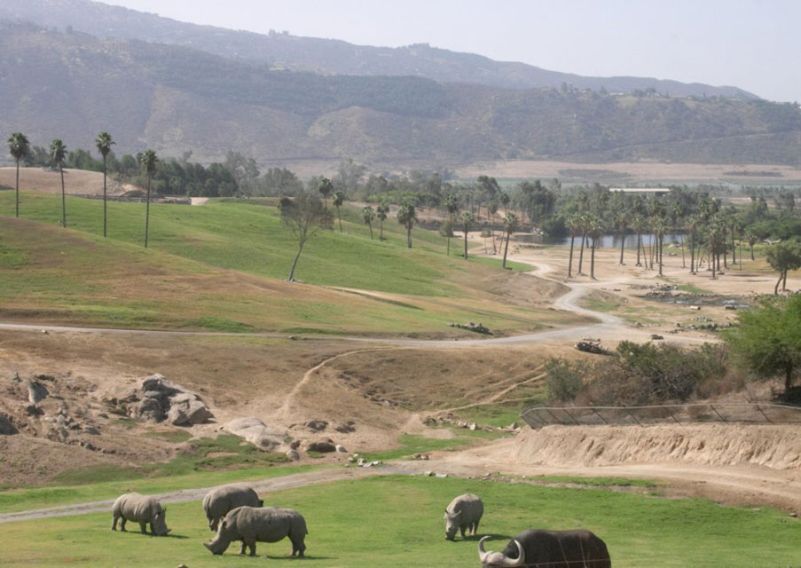 carnets de voyage usa - san diego - the san diego wild animal park