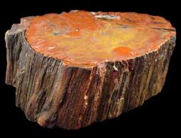 carnets de voyage usa - arizona - bois petrifi - petrified forest