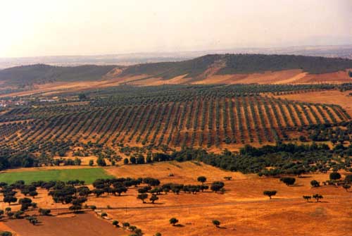 portugal - paysages de l'alentejo