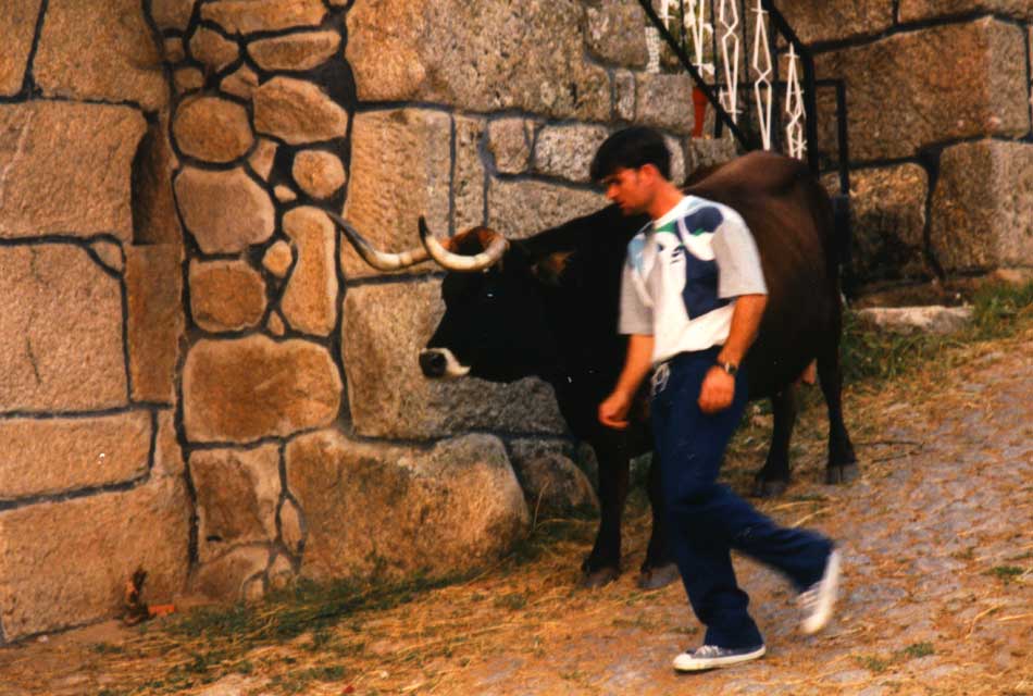 portugal-mondim-hameau-02.jpg