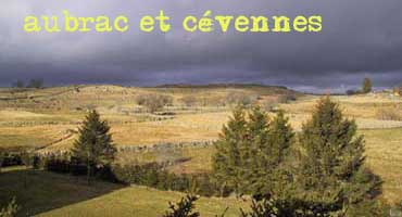 routes gourmandes dans l'aubrac et les cvennes