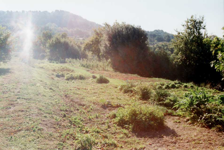 route gourmande provence - le potager de reine sammut