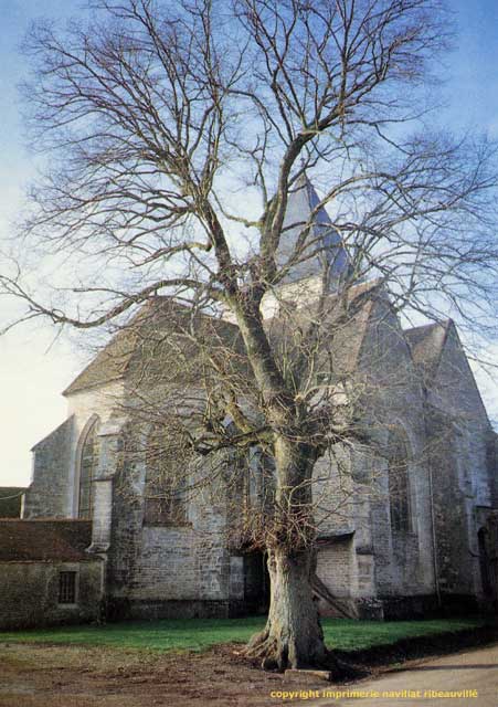 glise saint phal - avirey lingey