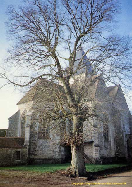 glise saint phal - avirey lingey