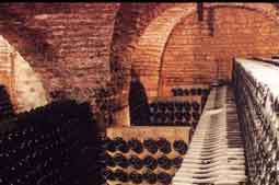 aube - route des vins - champagne Morize - cave du XIIme sicle