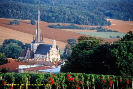 route des vins champagne - riceys