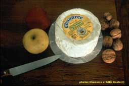 routes gourmandes aube - spcialits le fromage de Chaource