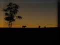carnets et photos de voyage - photos france - routes gourmandes dans l'aubrac