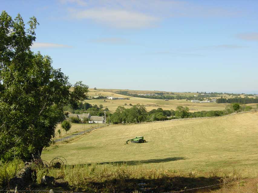laguiole - ferme de moulhac
