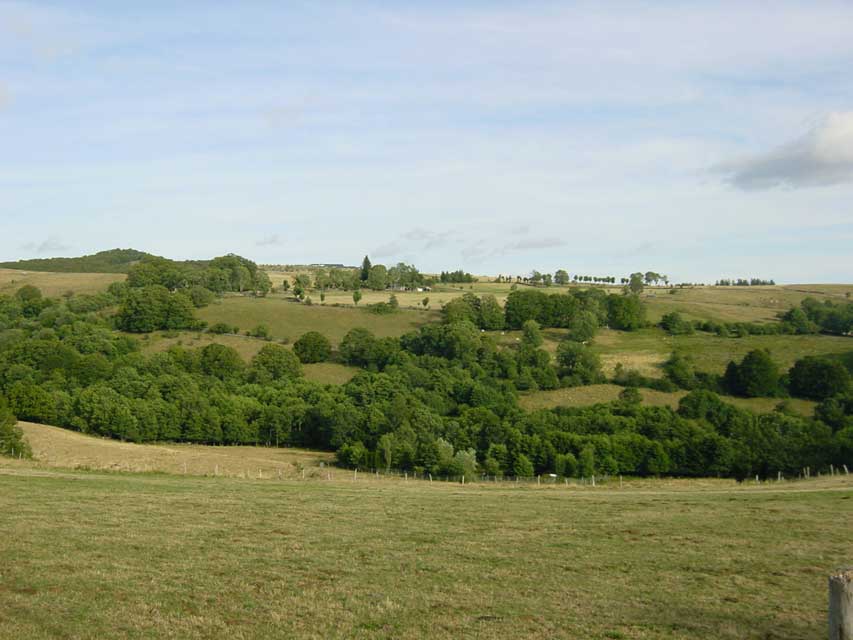 laguiole - ferme de moulhac - puech du suquet