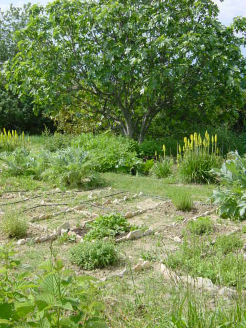 route gourmande provence - potager de reine sammut