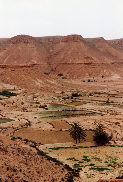 tunisie - chebika