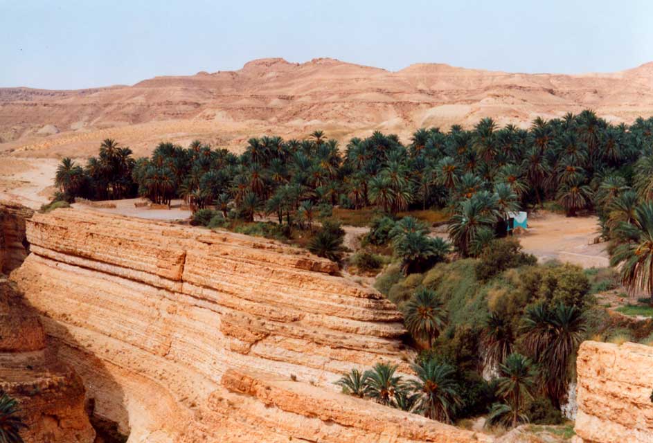 tunisie - oasis de montagne - entre mides et chebika