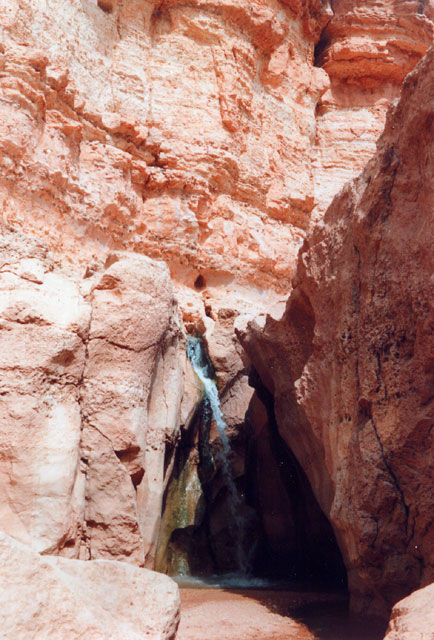 tunisie - la cascade de tamerza