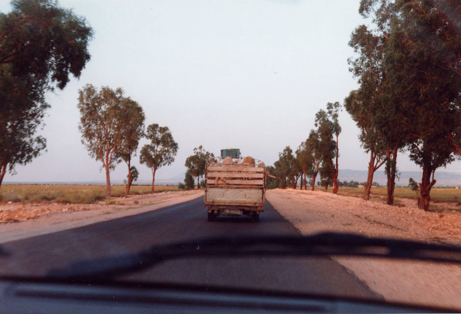 tunisie - la route entre gafsa et kairouan