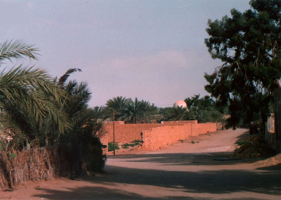 tunisie - les portes de l'oasis de tozeur