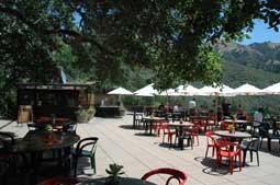 carnets de voyage usa - circuit californie et nevada - big sur - nepenthe - restaurant et caf