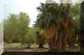 californie - death valley - scotty's castle - carnets de voyage usa - 