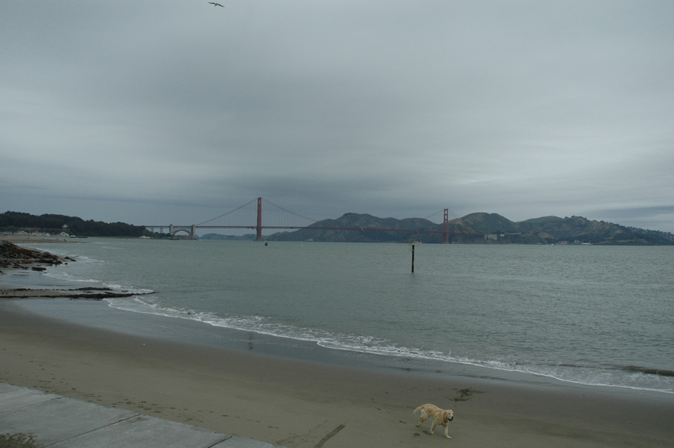 usa-californie-san-francisco-048.jpg