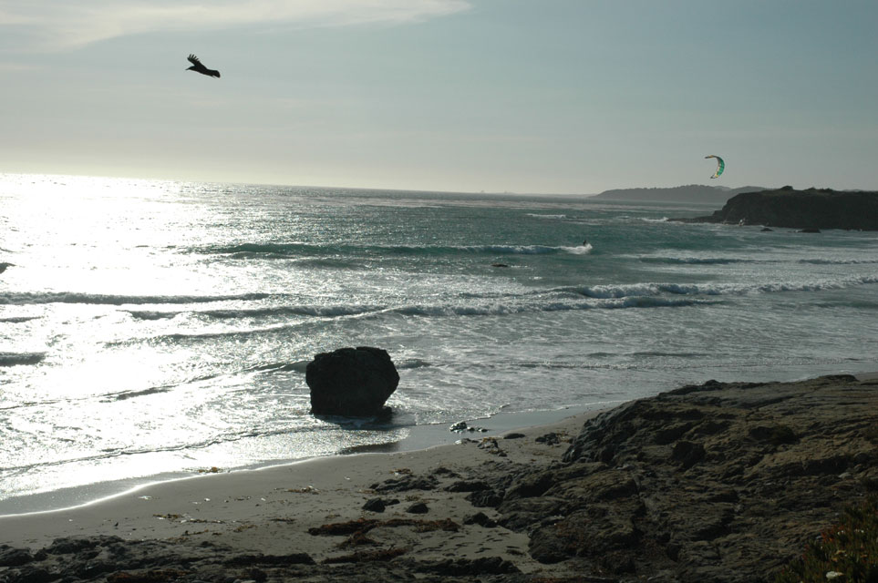 carnets de voyage usa - circuit californie et nevada - san simeon - la plage