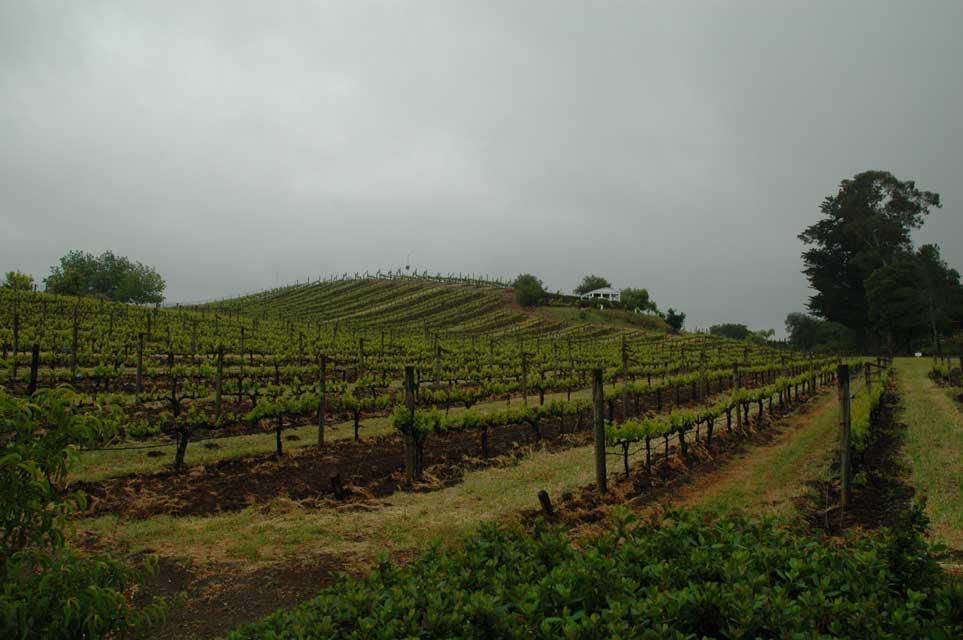 carnets de voyage usa - circuit californie et nevada - sonoma - winery Benziger Family