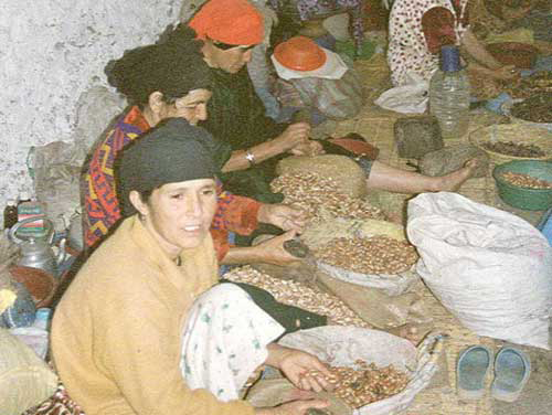 Carnets et photos de voyage Maroc - étape Imouzer Essaouira : La cooperative AlDiggue