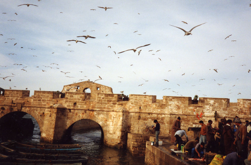 Carnets et photos de voyage Maroc - étape Imouzer Essaouira : Le port d'Essaouira