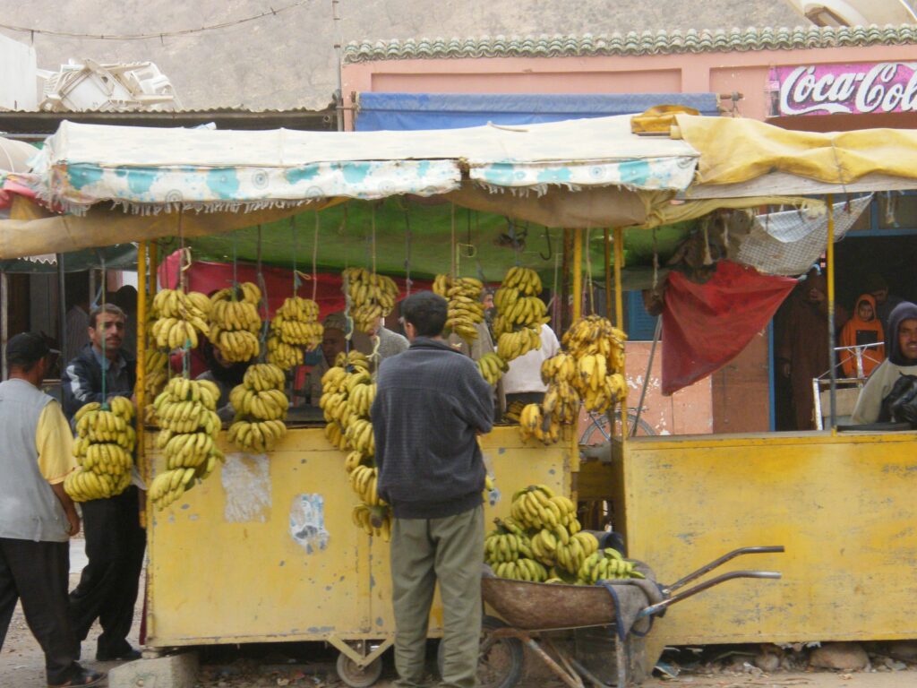 Carnets et photos de voyage Maroc - étape Imouzer - Essaouira : traversée de Tamri et des bananeraies