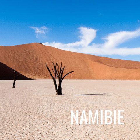 Carnets et photos de voyage Afrique : Circuits en Namibie