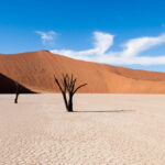 Carnets et Photos de voyage Afrique - Namibie - Sossusvlei - Dead Vlei