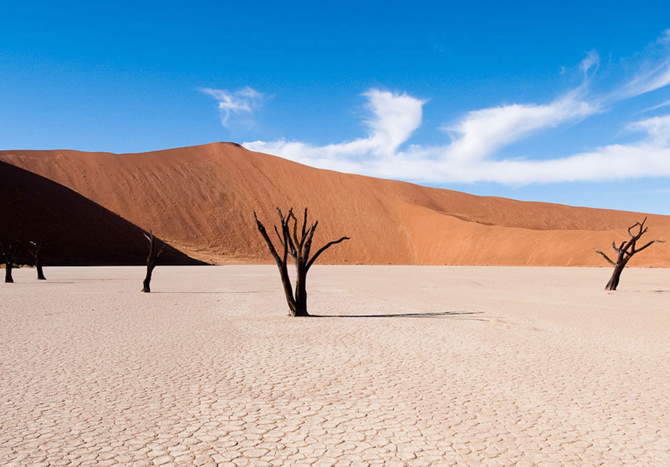 Carnets et Photos de voyage Afrique - Namibie - Sossusvlei - Dead Vlei