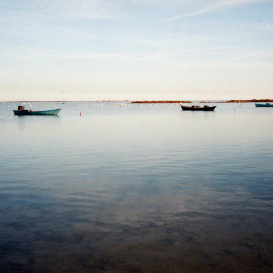 Carnets et photos de voyage France - Escapade Arles et la Camargue