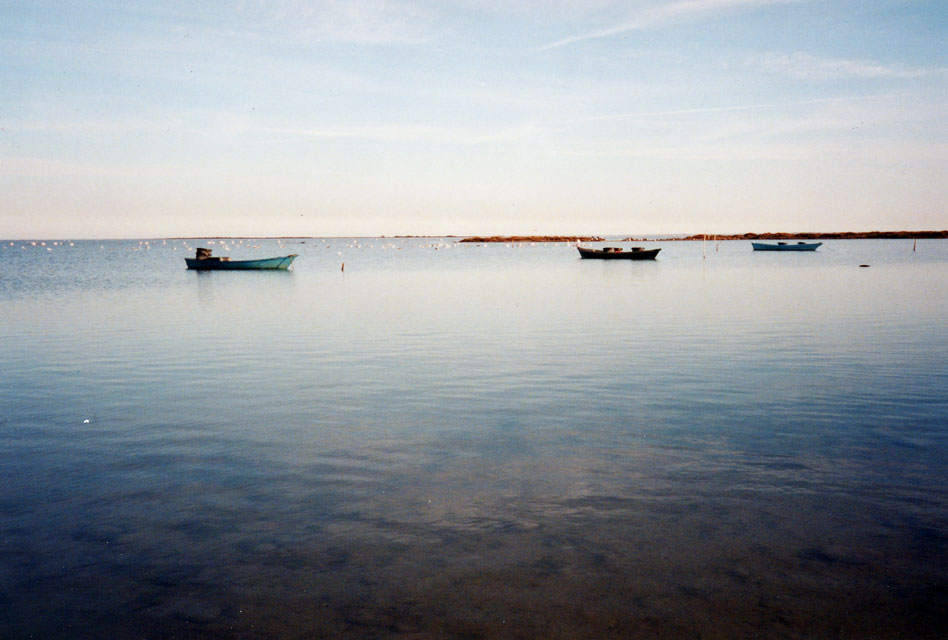 Carnets et photos de voyage France - Escapade Arles et la Camargue