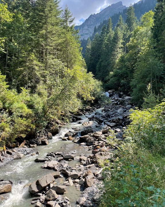 Carnets et photos de voyage Suisse - Champery cascade de la Sauflaz