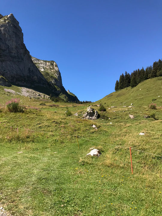 Carnets et photos de voyage Suisse - Champery : le plateau de Barme en direction du col du Cou