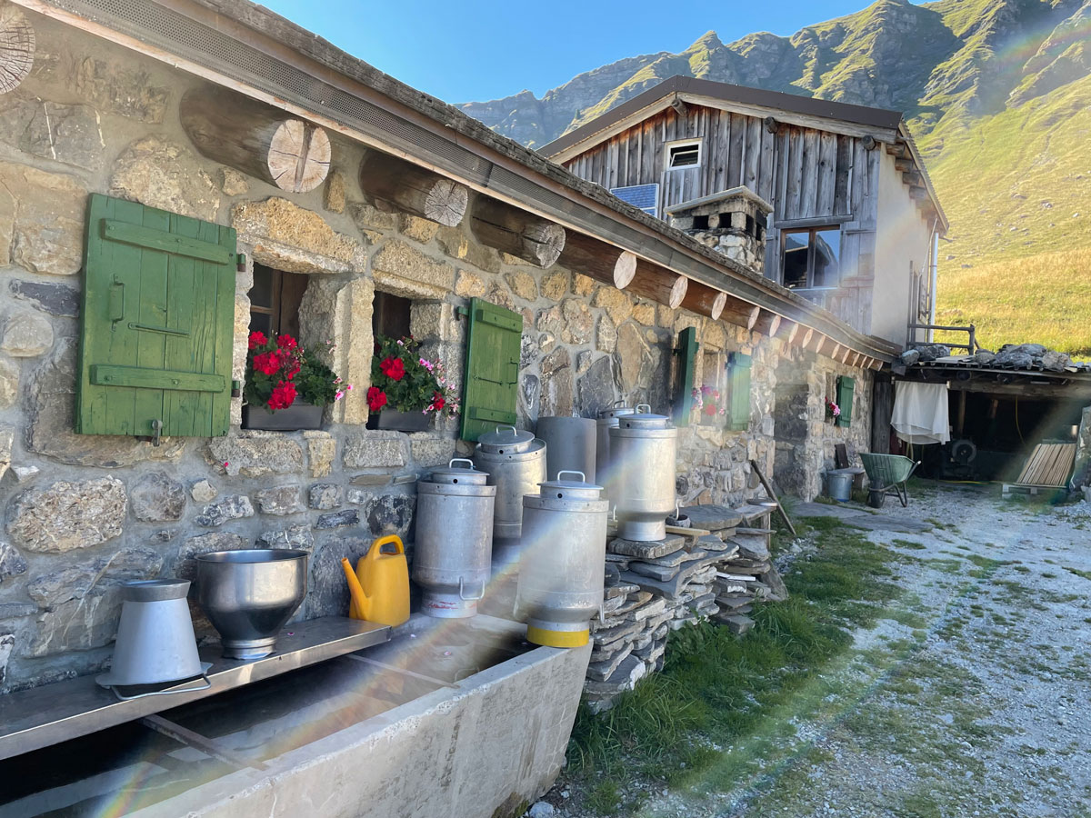 Carnets et photos de voyage Suisse - Champery : l'Alpage Lapisa