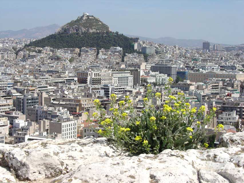 carnets et photos de voyage Grèce - Athènes : lycavette