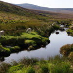 Carnets et photos de voyage Europe - Irlande du Sud - Les monts Wicklow