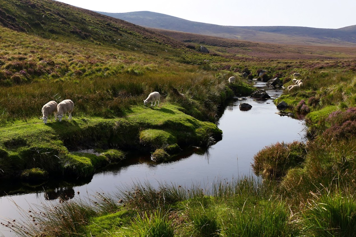 Carnets et photos de voyage Europe - Irlande du Sud - Les monts Wicklow