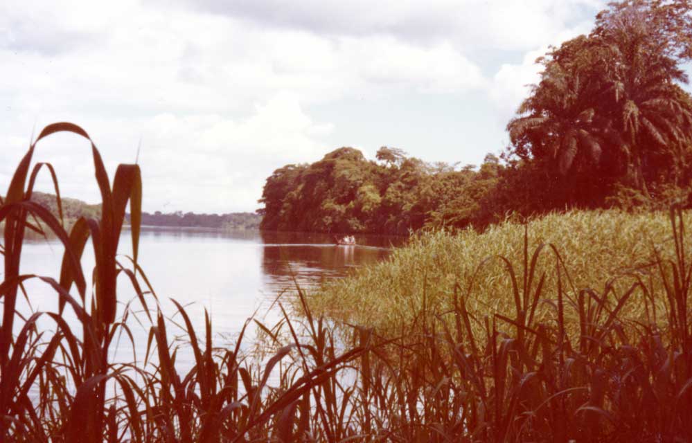 Carnets et photos de voygae Cameroun - Circuit de 20jours - Le Wouri