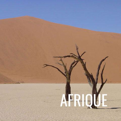 carnets et photos de voyage : Afrique (Cameroun, Tunisie, Maroc, Namibie...)