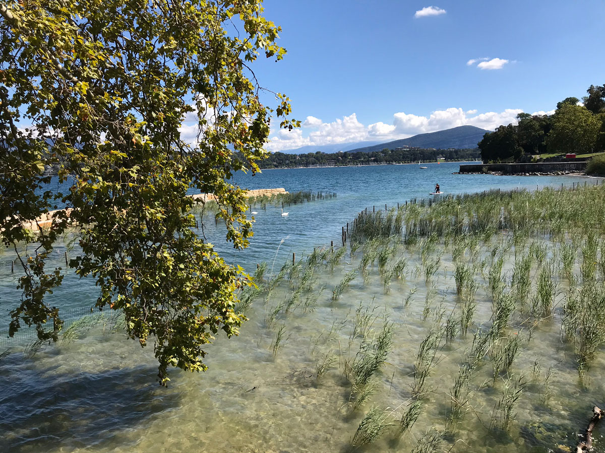 Carnets et photos de voyage - Suisse : Genève, les vignes de Lavaux, Champery et le Valais