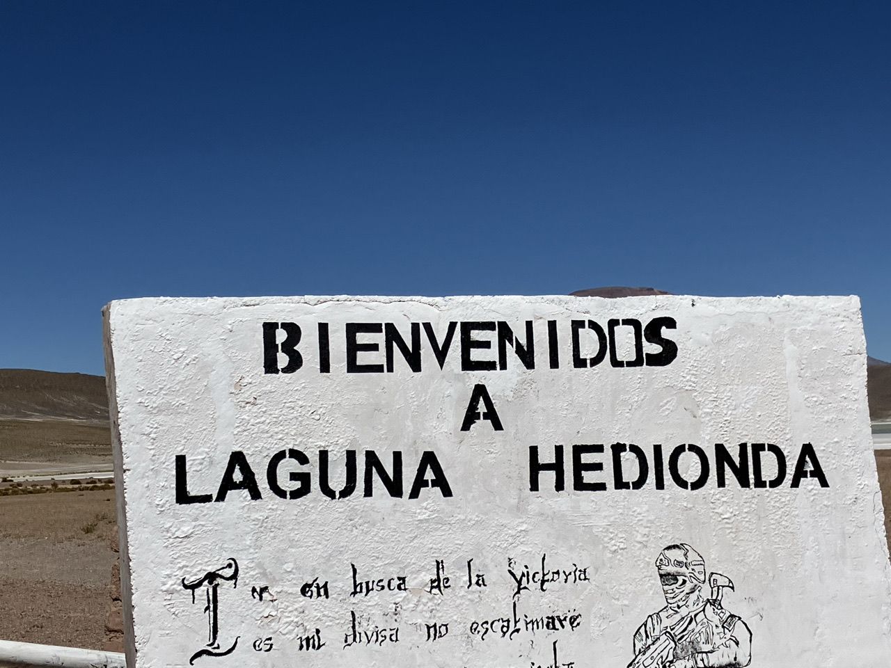 Carnets et photos de voyage Bolivie - route des lagunes : Laguna Hediondac