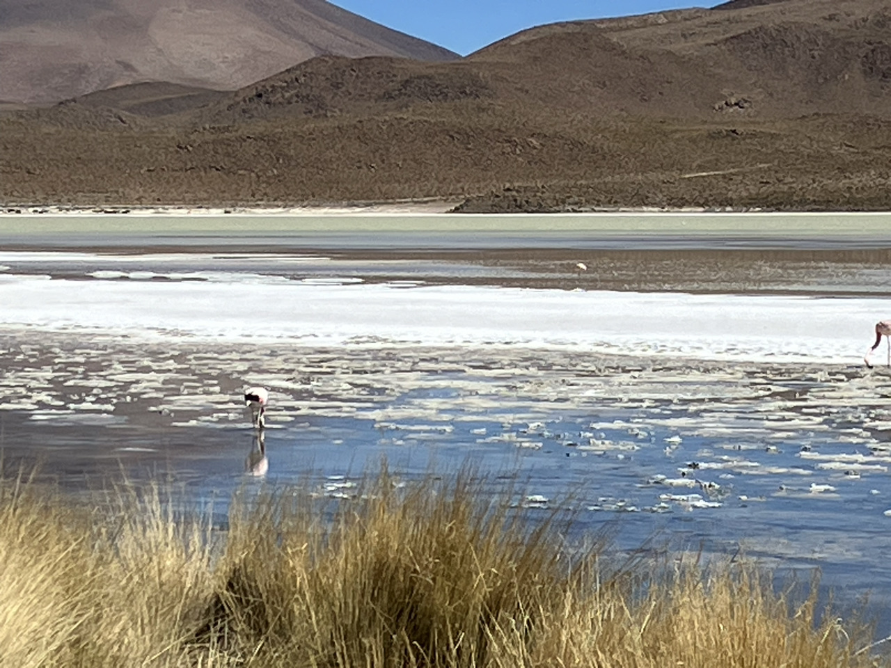 Carnets et photos de voyage Bolivie - Route des lagunes : Laguna Chiar Khota