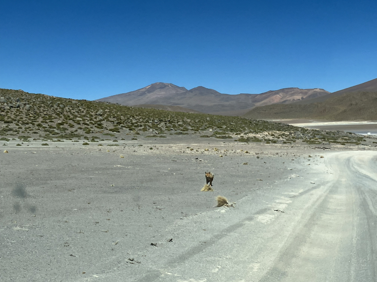 Carnets et photos de voyage Bolivie - Etape route des lagunes : Laguna Honda