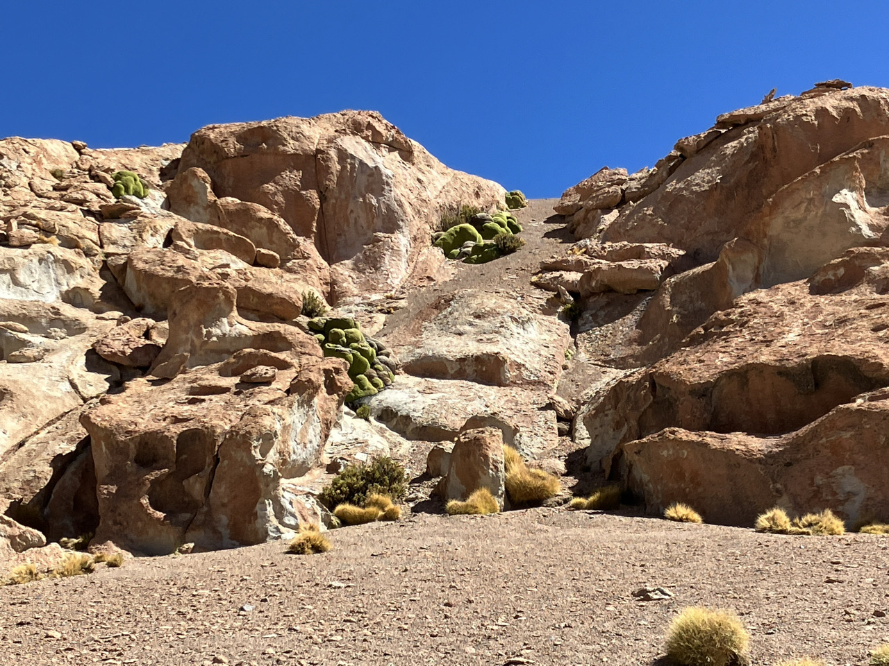 Carnets et photos de voyage Bolivie - etape route des lagunes : traversée du désert de siloli