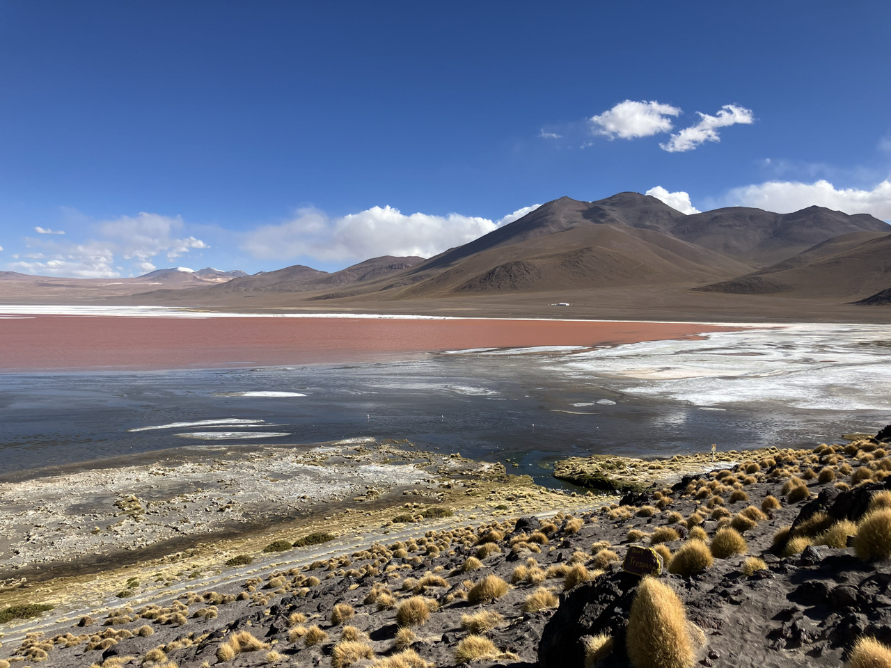 Carnets et photos de voyage Bolivie - etape route des lagunes : Laguna Colorada